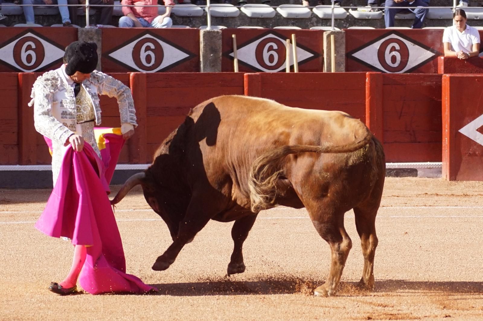 Presencia salmantina por partida doble en la primera corrida de la feria: Damián Castaño e Ismael Martín junto al mexicano Diego San Román