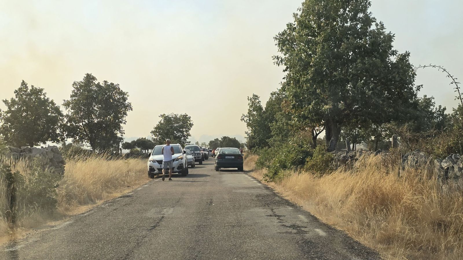 El incendio de Cipérez (IGR2) llega hasta Cerezal de Puertas
