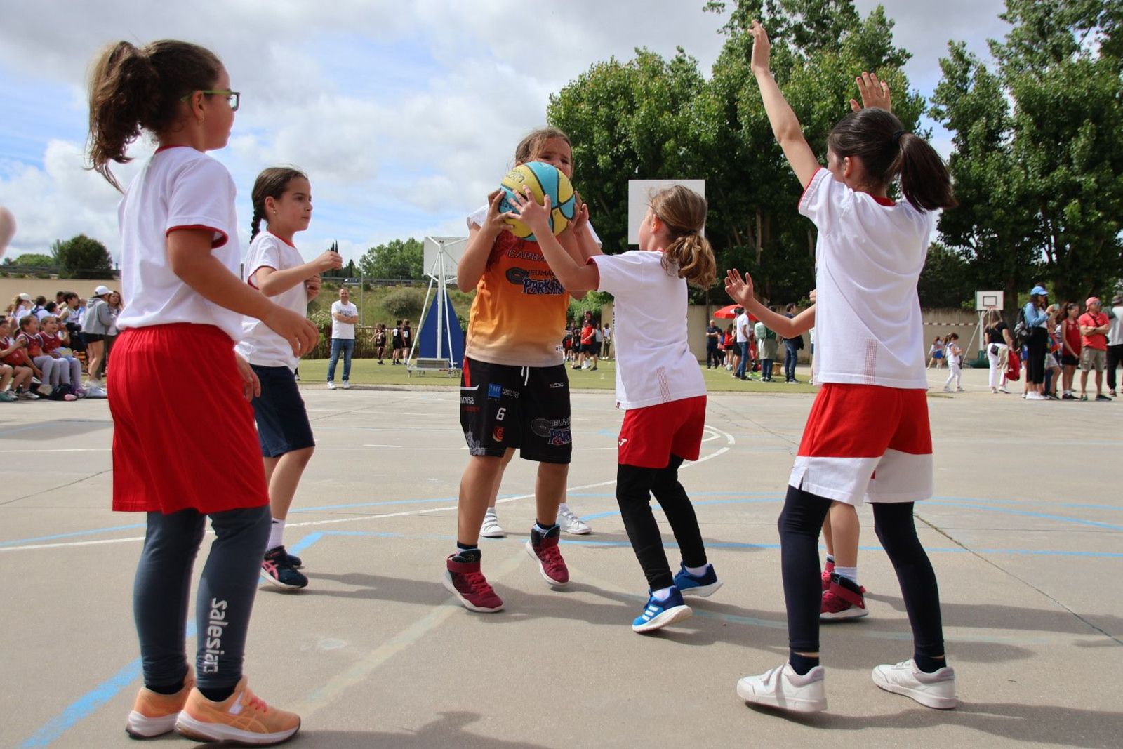 20240526105813-img-2534