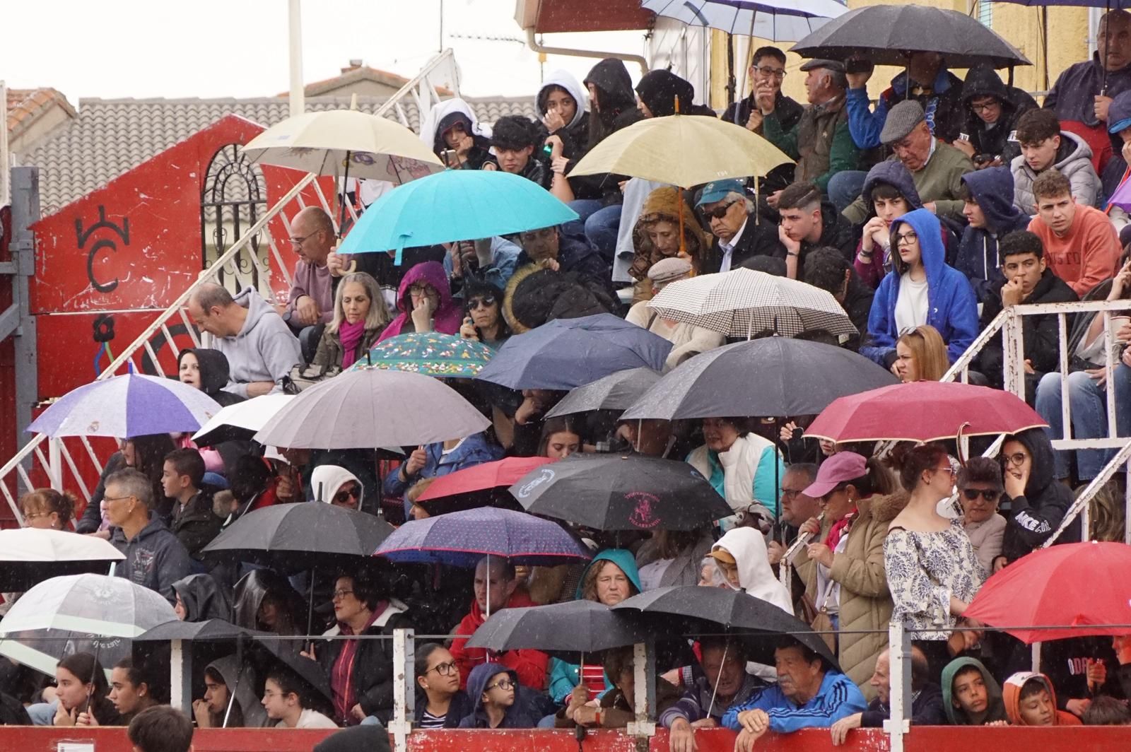 Villoria, toro del Voto