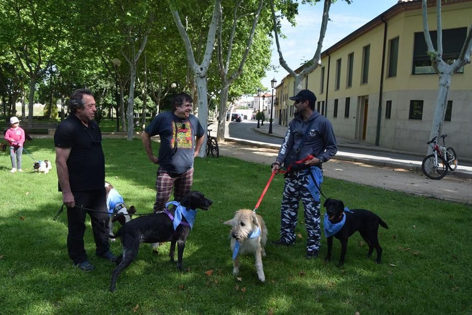 Marcha Contra el abandon