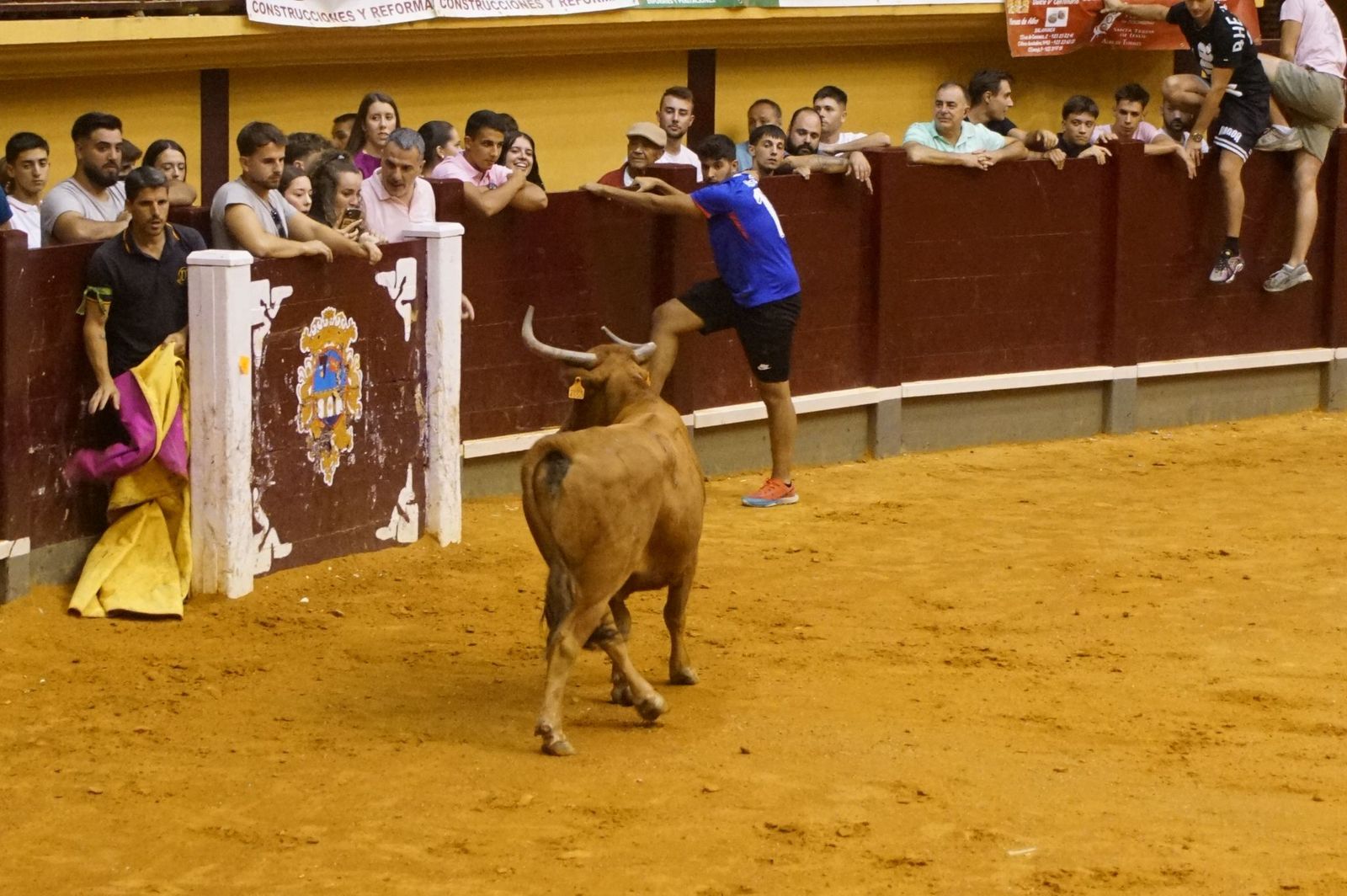Multitudinario encierro nocturno en Alba de Tormes