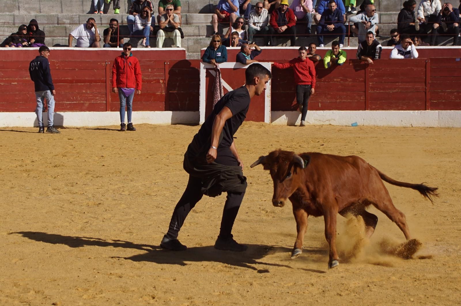 whatsapp-image-2024-09-08-at-14-05-32-1