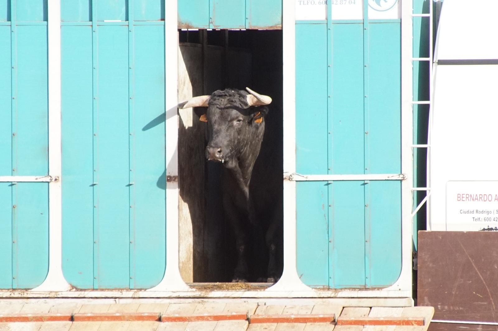 whatsapp-image-2023-09-08-at-19-29-09-1