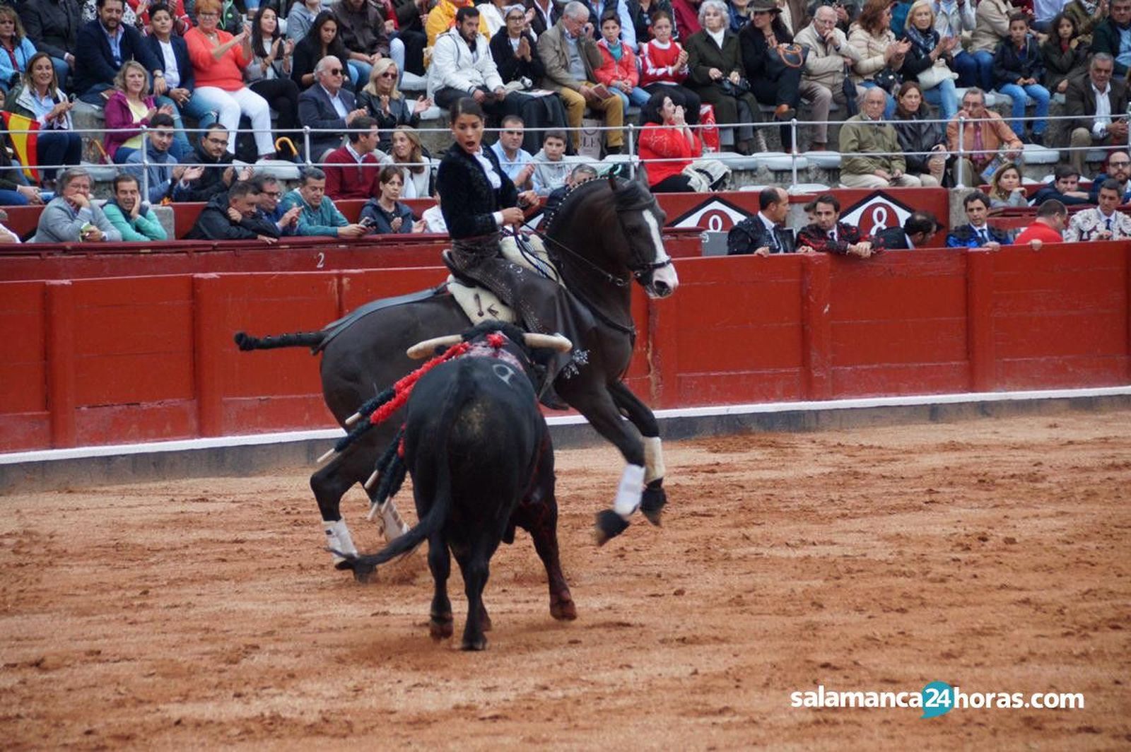 Lea Vicens con 'Diluvio' en la plaza de toros de Salamanca