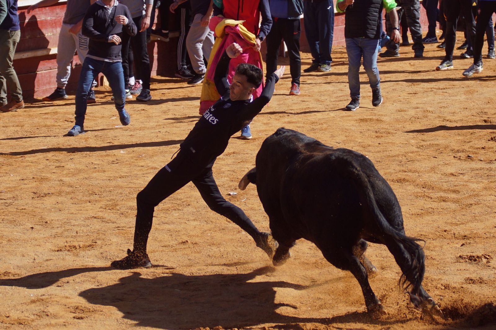encierro-capea-y-ambiente-en-ciudad-rodrigo-en-este-lunes-de-carnaval-66