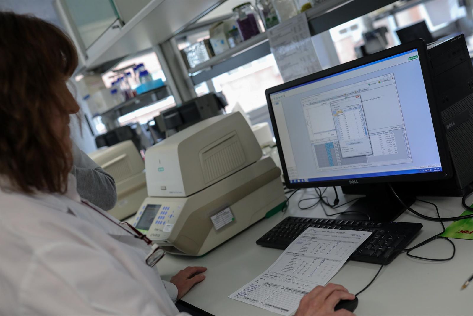 Una trabajadora con un ordenador   Jesús Hellín   Europa Press   Archivo