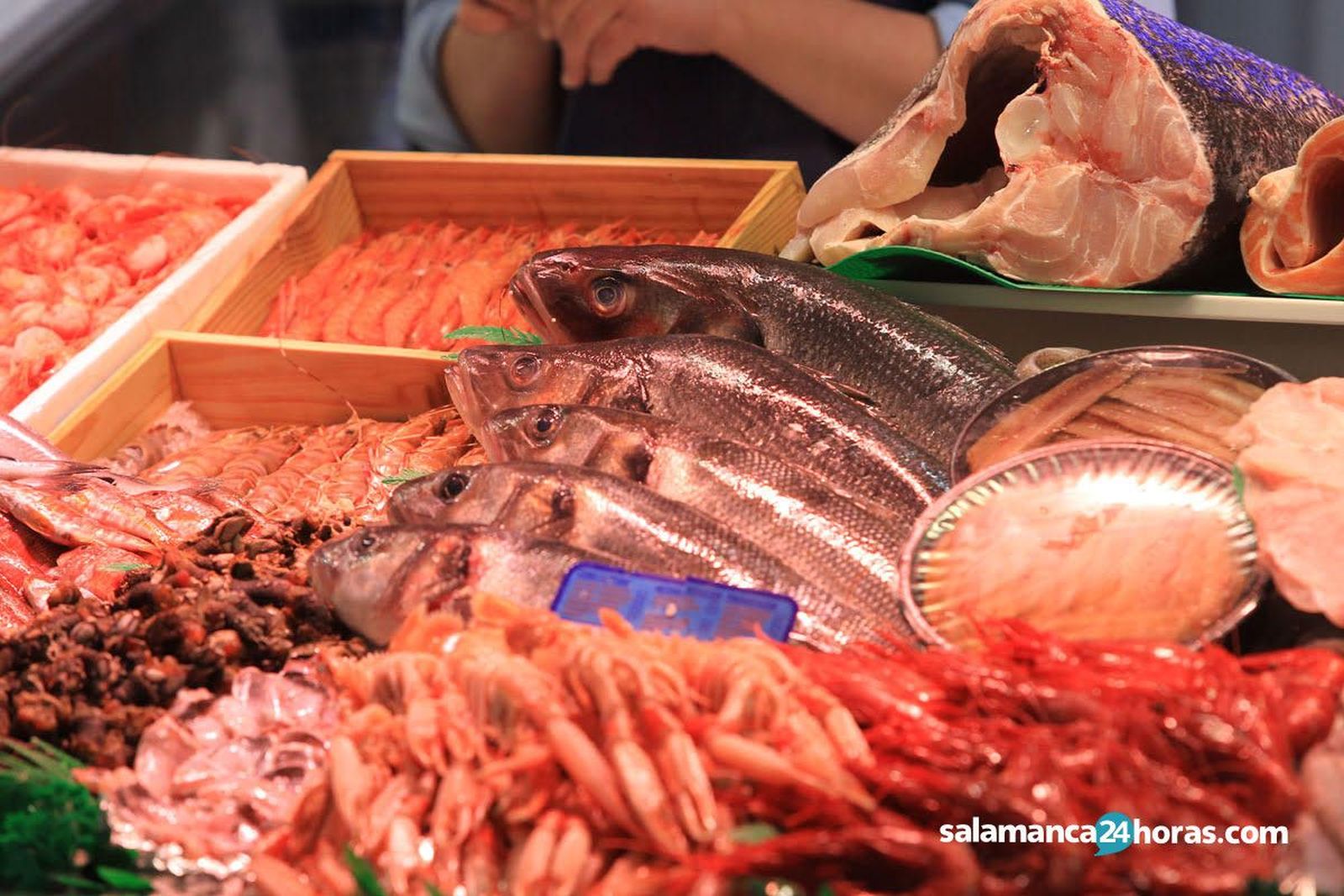 Marisco pescado comida mercado (4)   copia