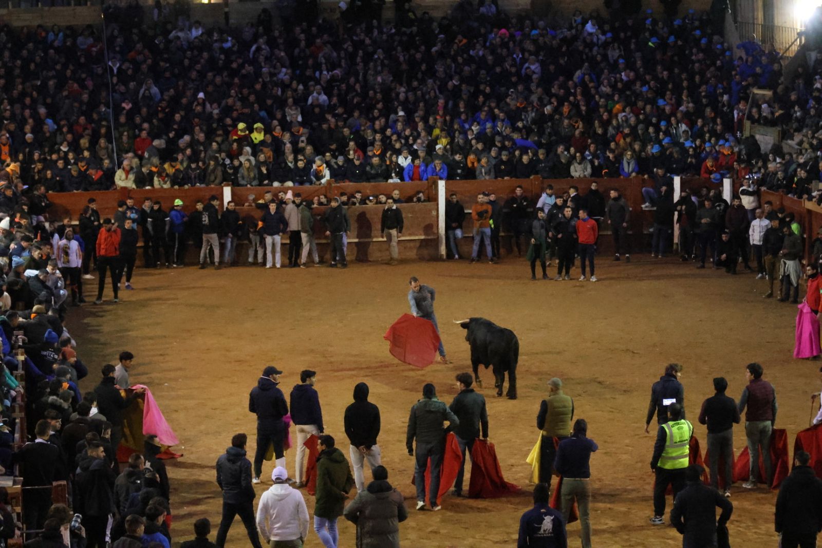 Capea y desencierro de domingo tarde en el Carnaval del Toro 2026