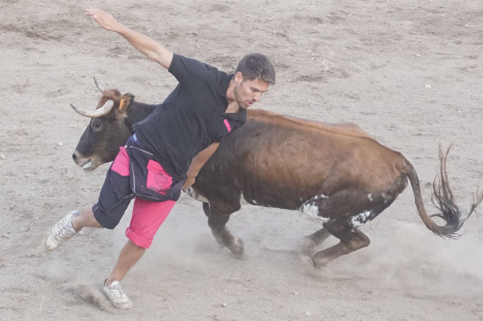 Carreras, risas y tradición: así se ha vivido El Toro en Santa Marta