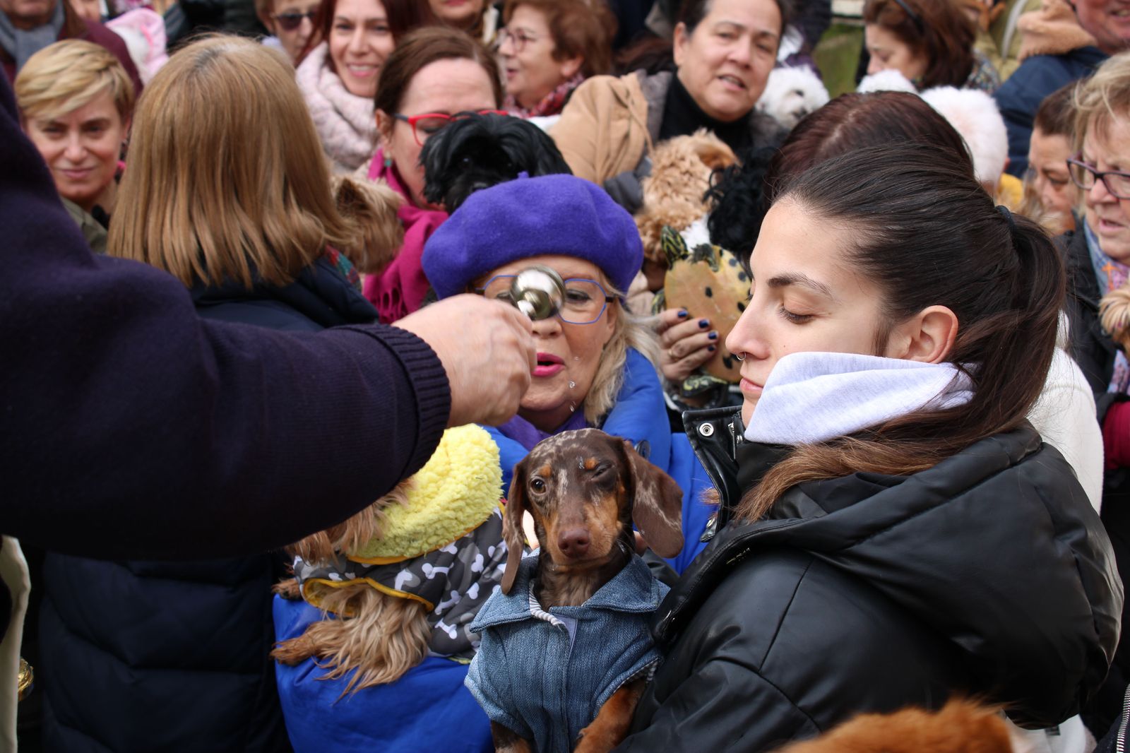 san-anton-bendicion-de-animales-2024-foto-s24h-71