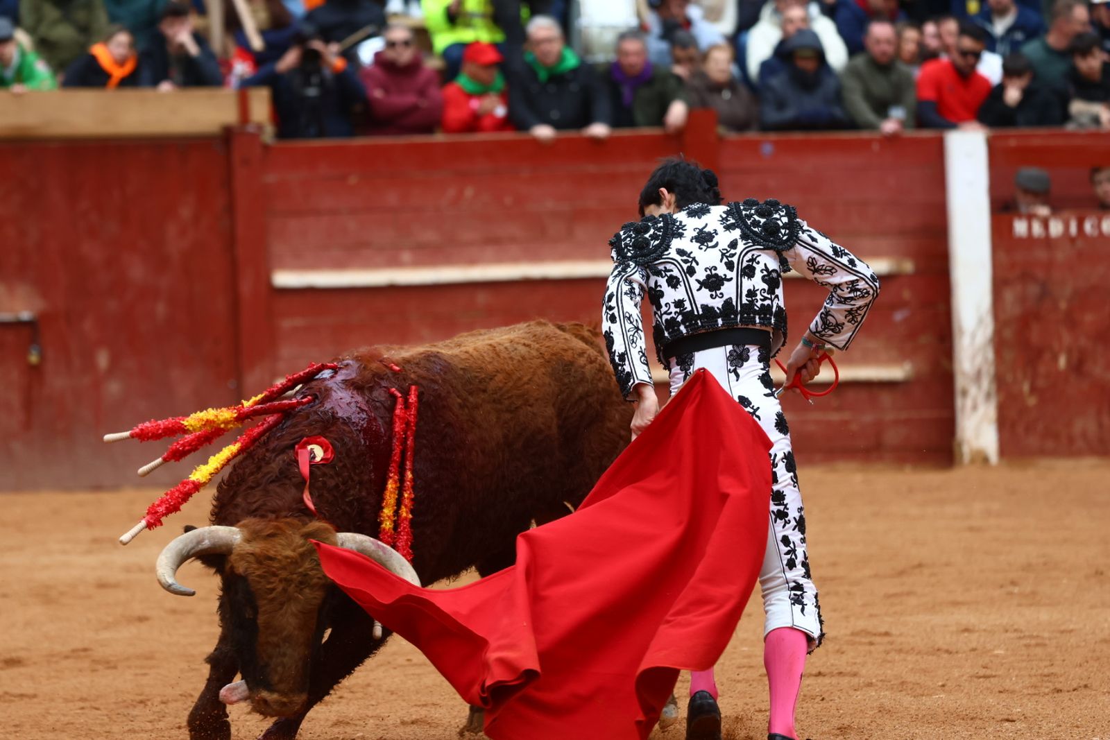 Novillada con picadores de lunes en el Carnaval del Toro de Ciudad Rodrigo 2026
