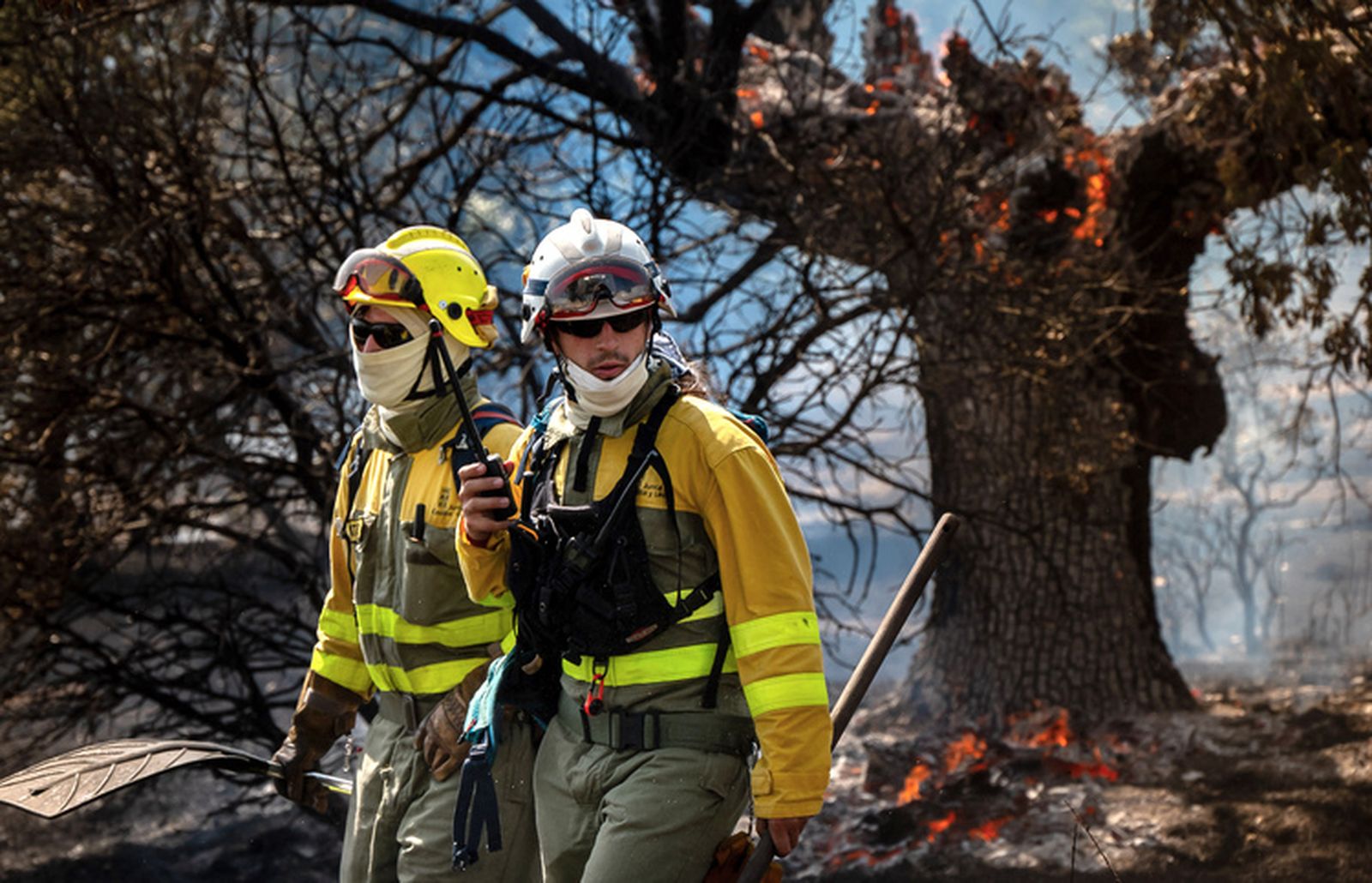 El fuego quema una zona de pasto en los entornos de la N-620 y la A-62 en Valdecarpinteros