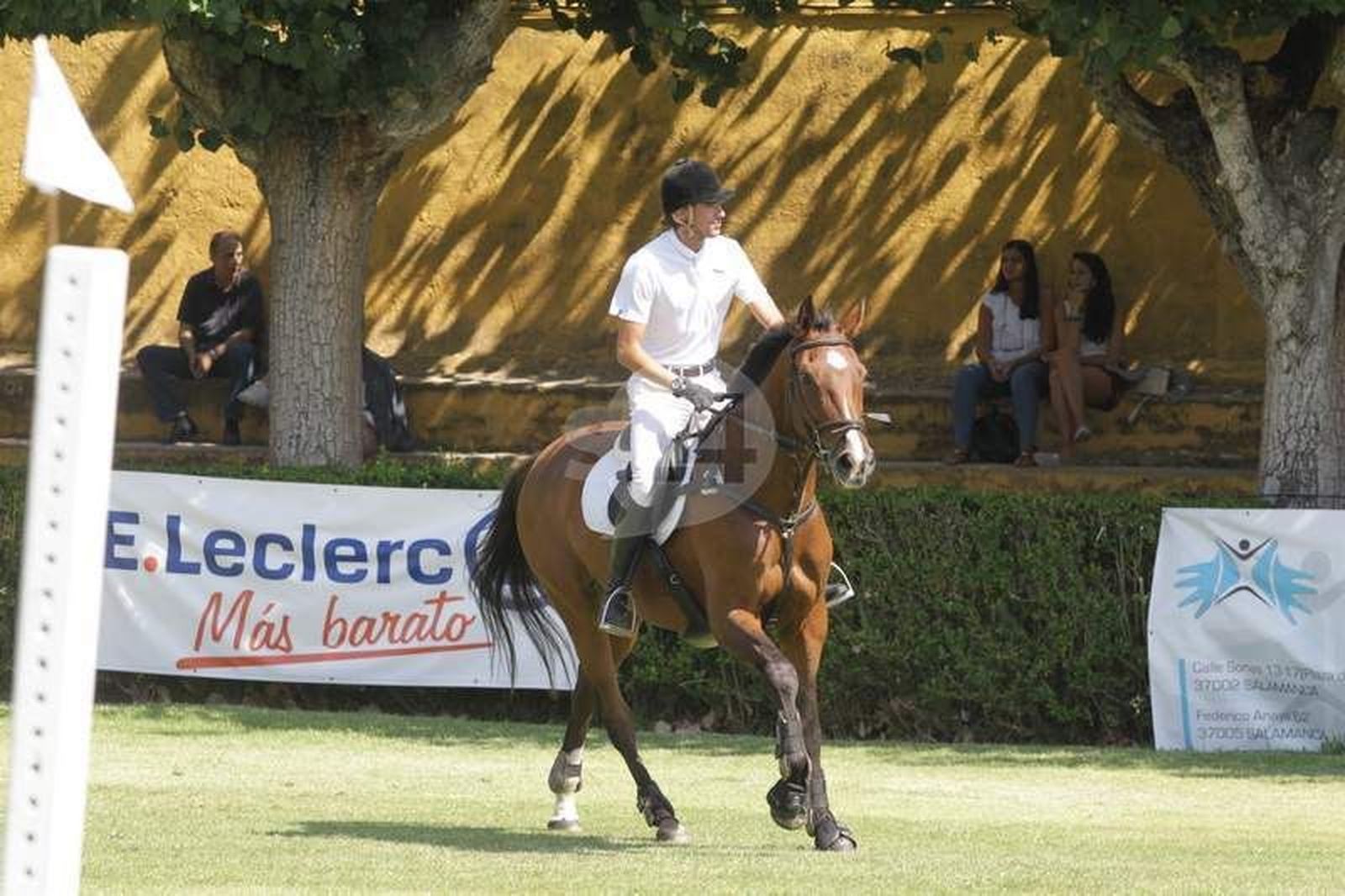 El campo de Tiro y Deportes acoge un nuevo concurso de hípica