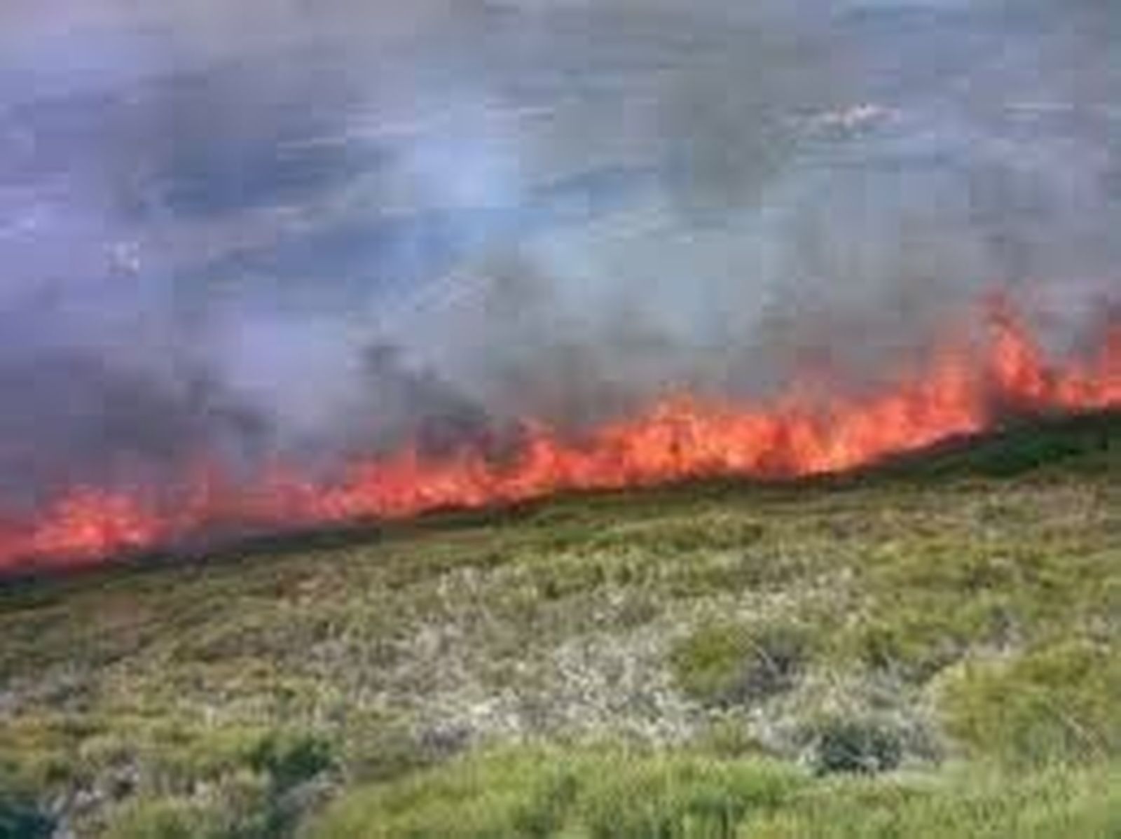 Incendios forestales