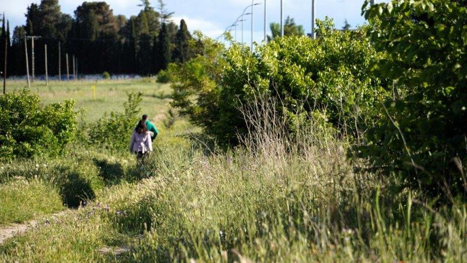 Zonas de campo situadas entre Salamanca y Villares de la Reina denunciadas por asociaciones ecologistas