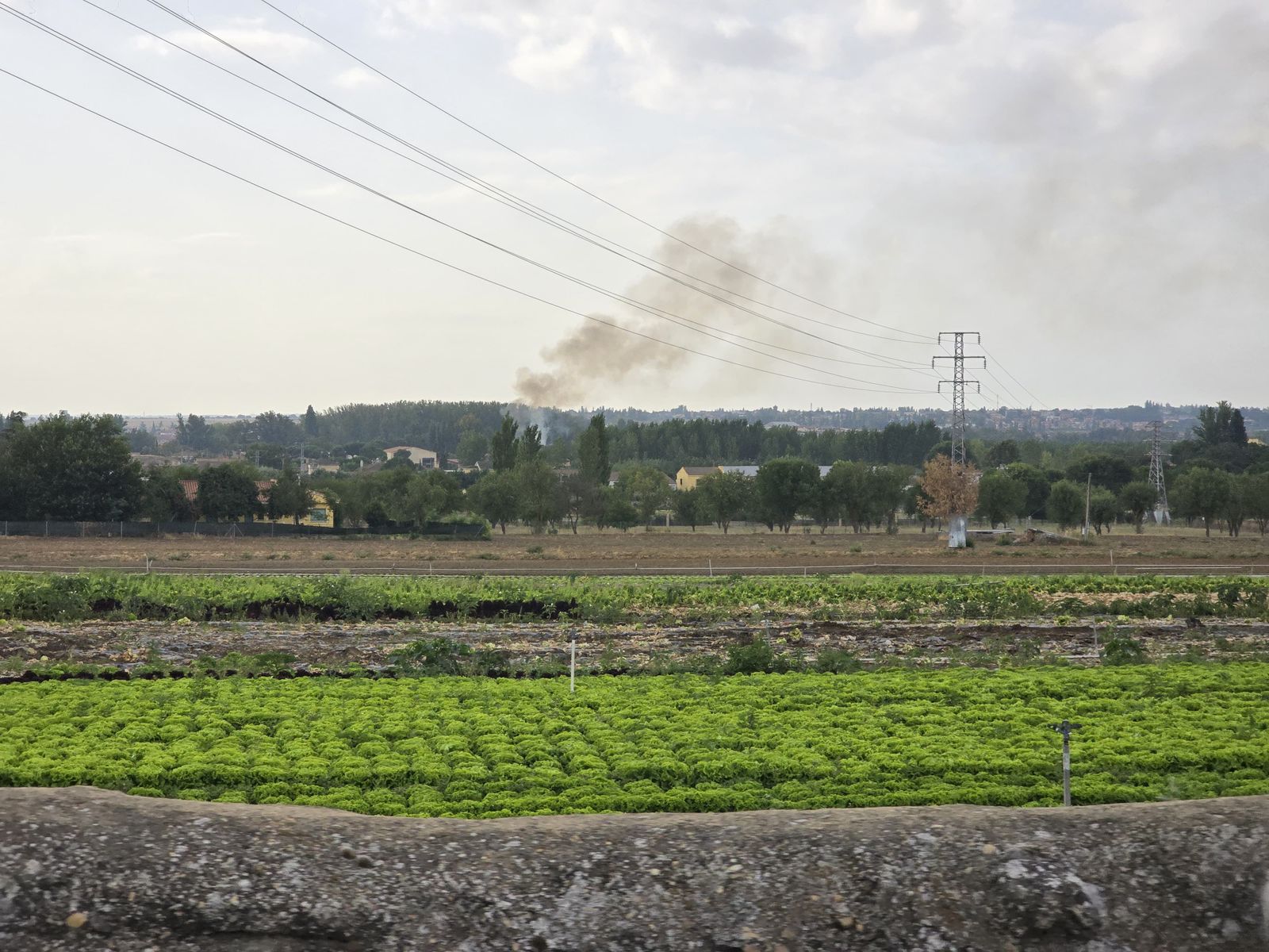 whatsapp-image-2024-08-29-at-10-44-18