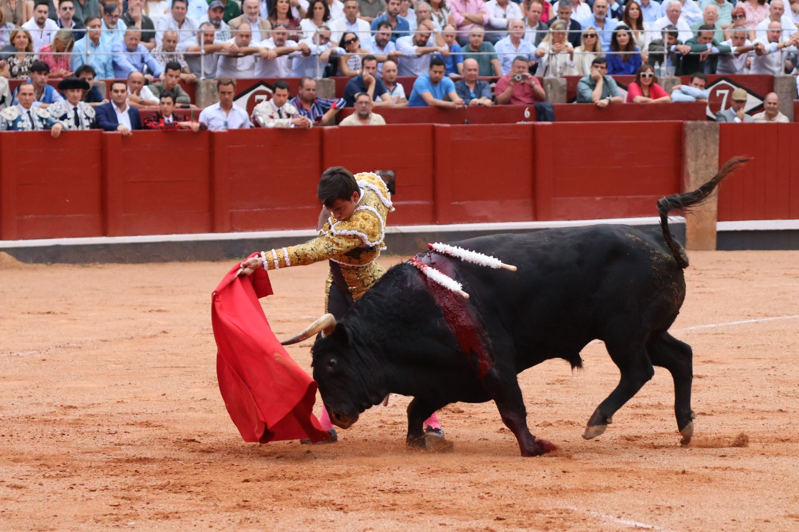 Ismael Martín, Marco Pérez y el aclamado regreso de Morante de la Puebla: su paso por La Glorieta en imágenes