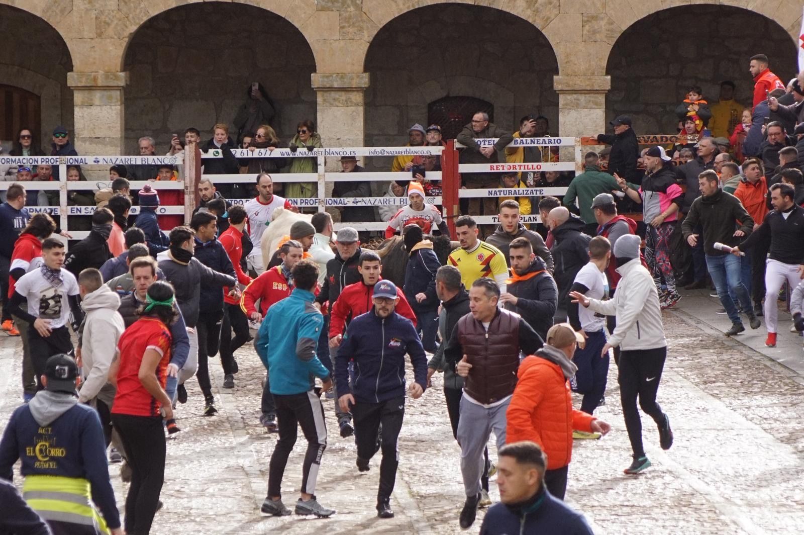 El encierro de Lunes de Carnaval en Ciudad Rodrigo en imágenes