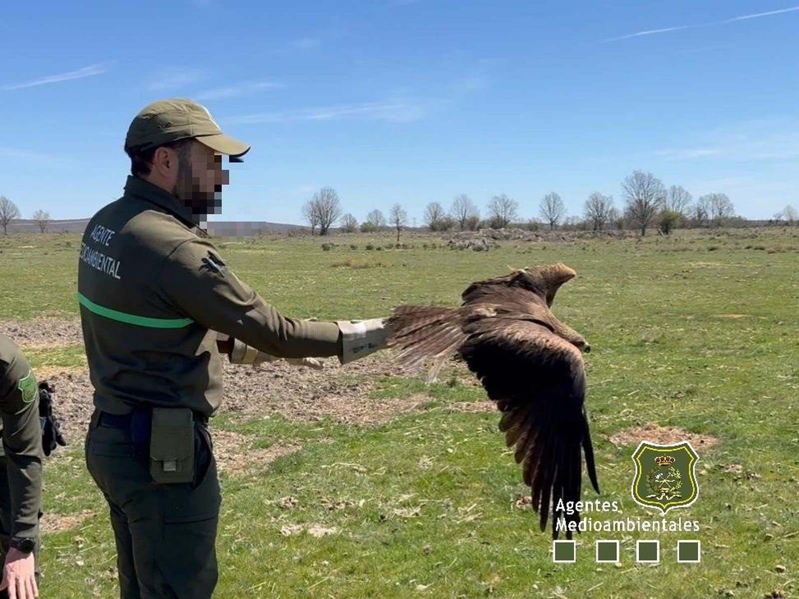 Imagen de su liberación