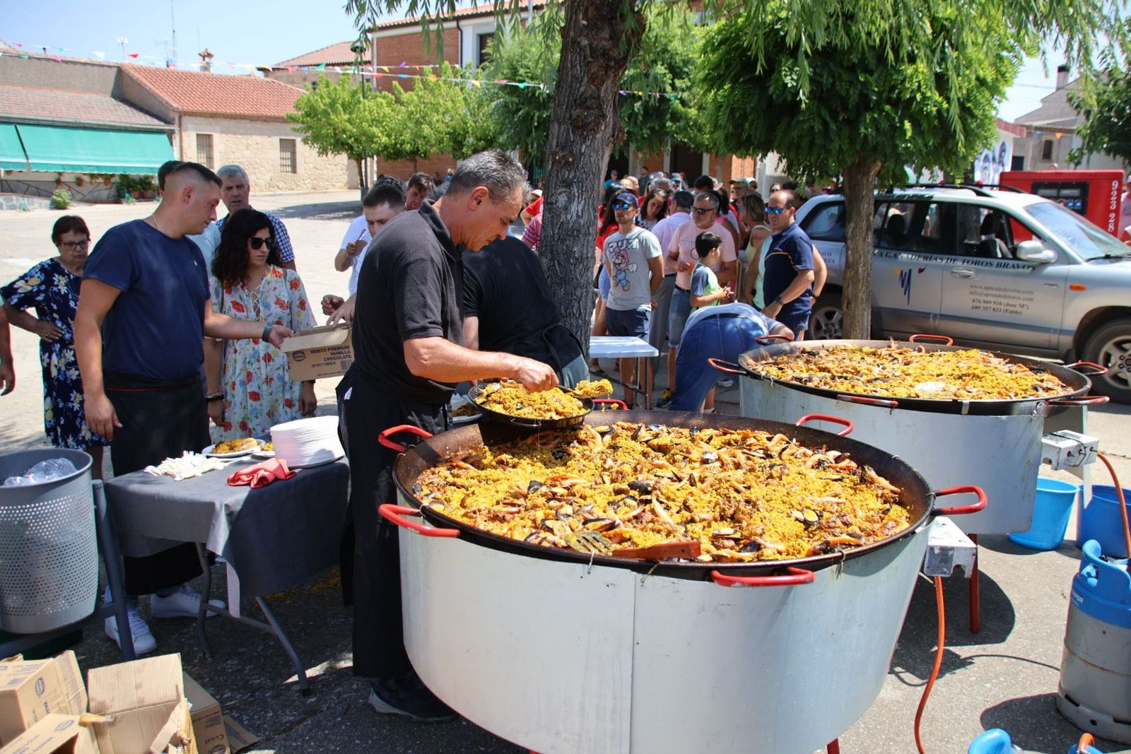 20240809141355-img-2566