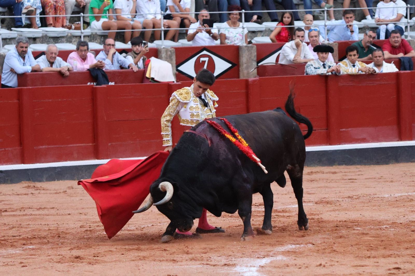 20230910192508-img-2322