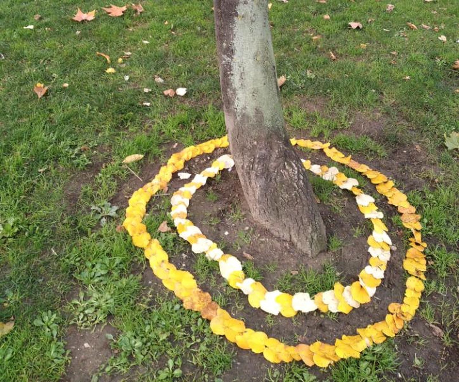 Captura de pantalla 2020 11 16 a las 19.51.36