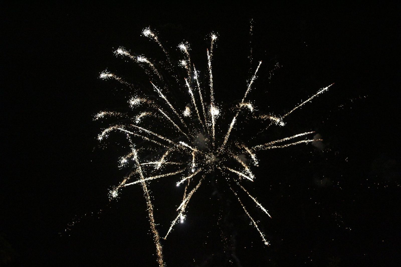 20230612234212-img-9356