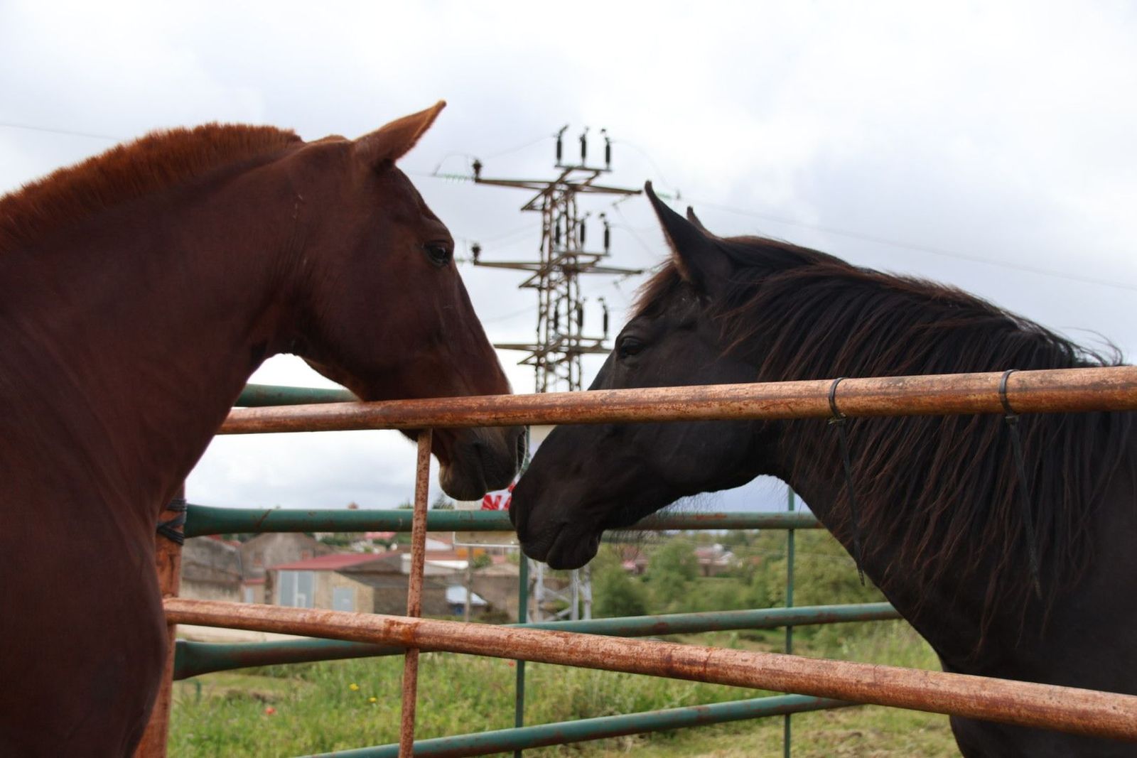 20240501103148-img-2906