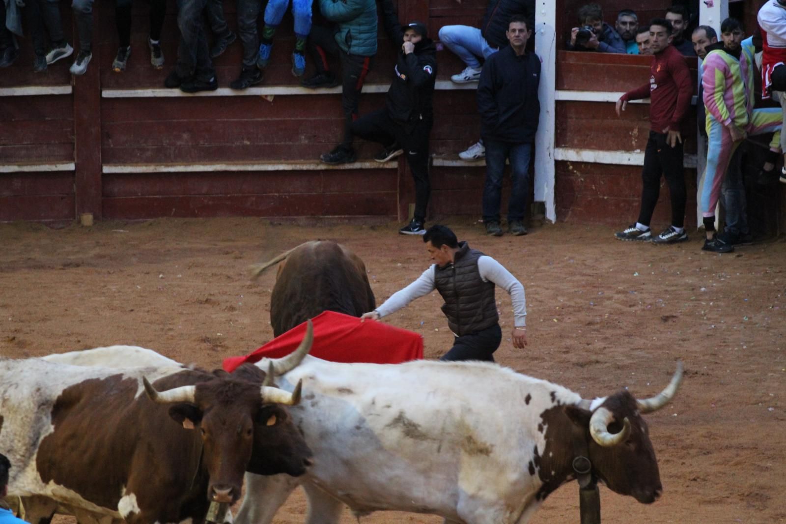 ambiente-y-capea-vespertina-sabado-de-carnaval-en-ciudad-rodrigo-2025-fotos-belen-hurtado-3