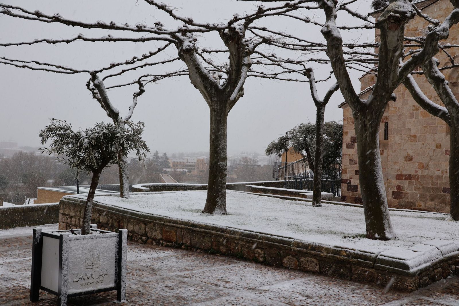 GALERÍA | Nieve en Zamora capital este miércoles