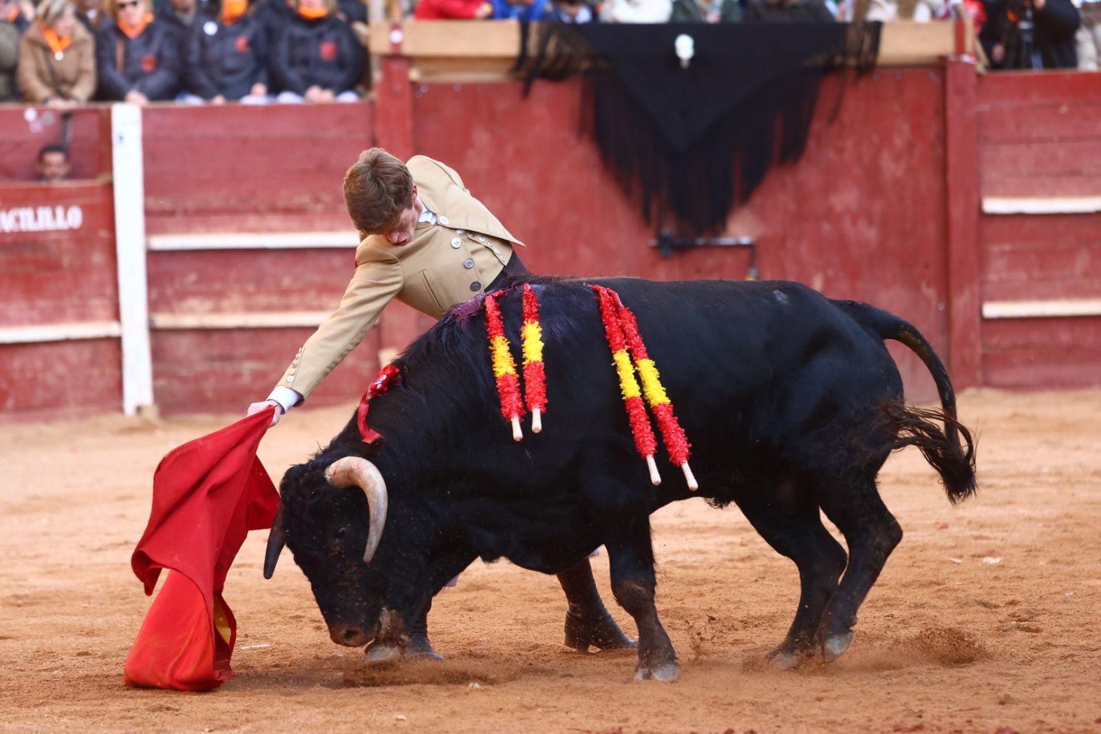 Festival del martes en el Carnaval del Toro 2026