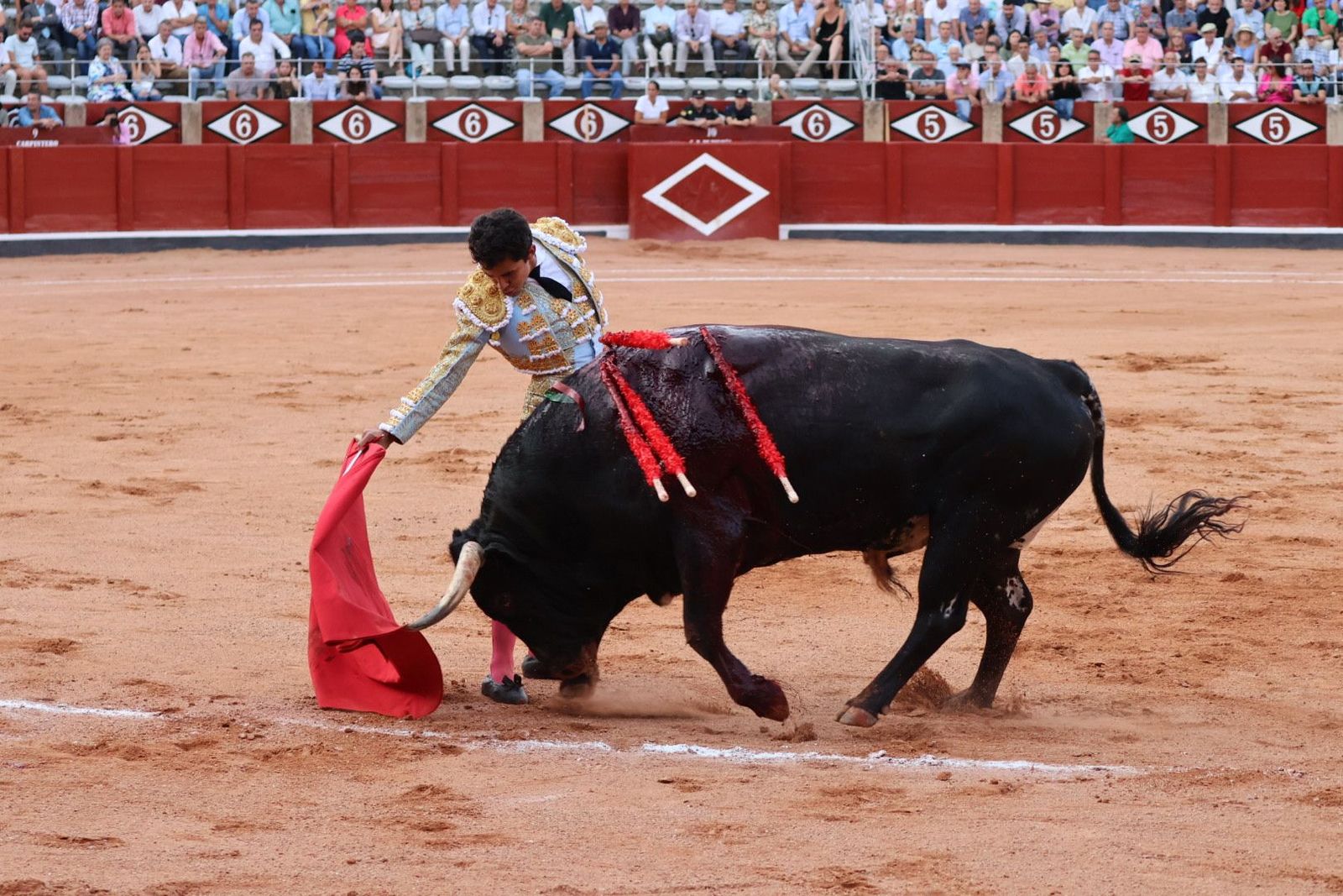 20230910190023-img-2211