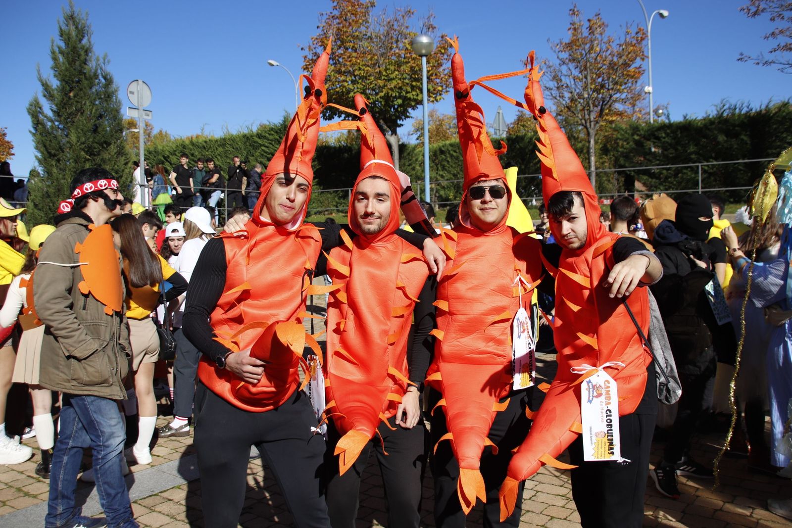 20221110120458-mg-0999