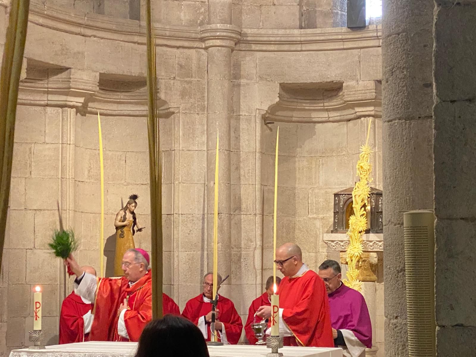 GALERÍA | Zamora celebra la bendición de palmas en este Domingo de Ramos