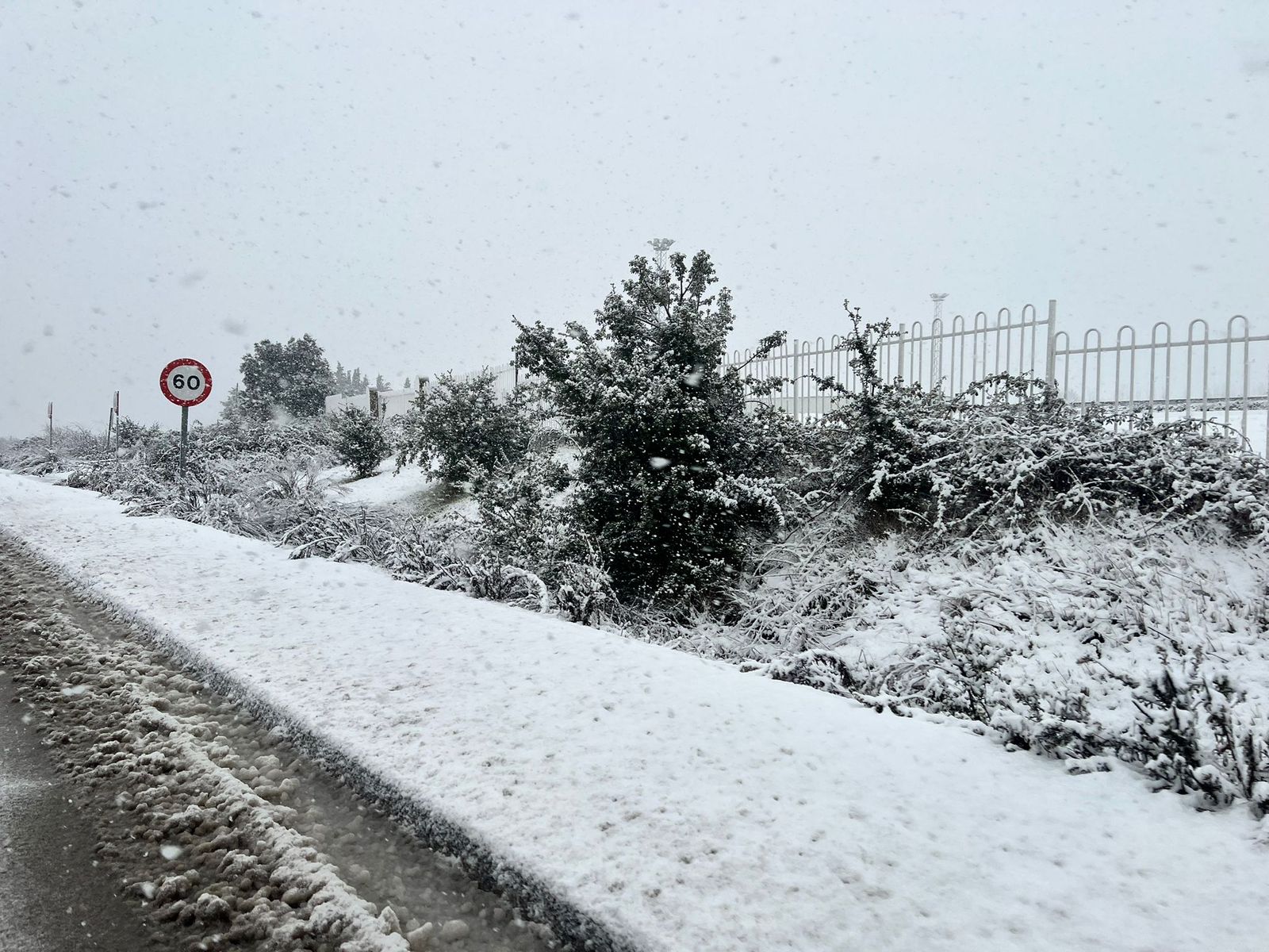 Nevada en Salamanca 28 de enero 2026
