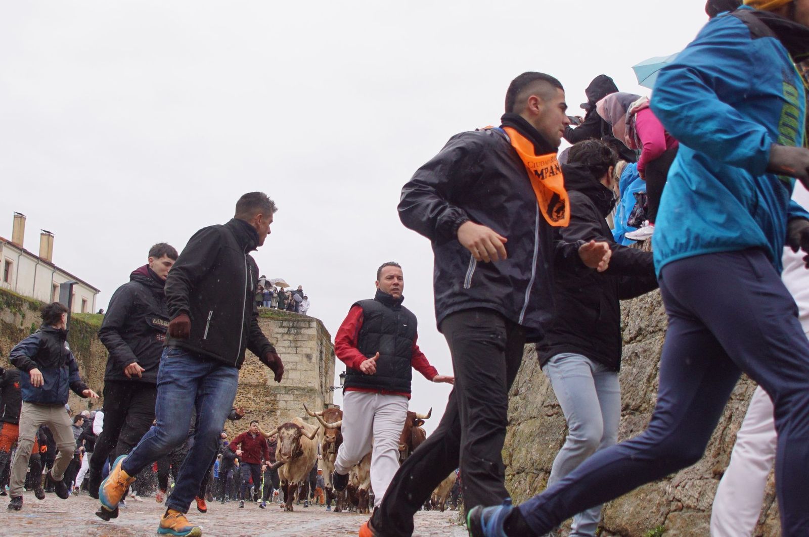 whatsapp-image-2025-03-03-at-14-51-26-1