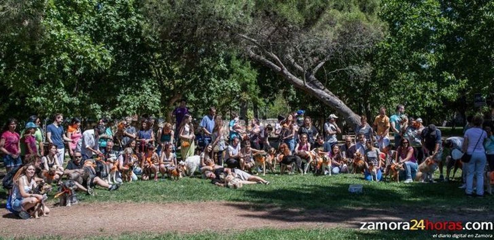 La II Marcha Contra el Abandono une simultáneamente a defensores de los animales de Zamora, Benavente y Toro