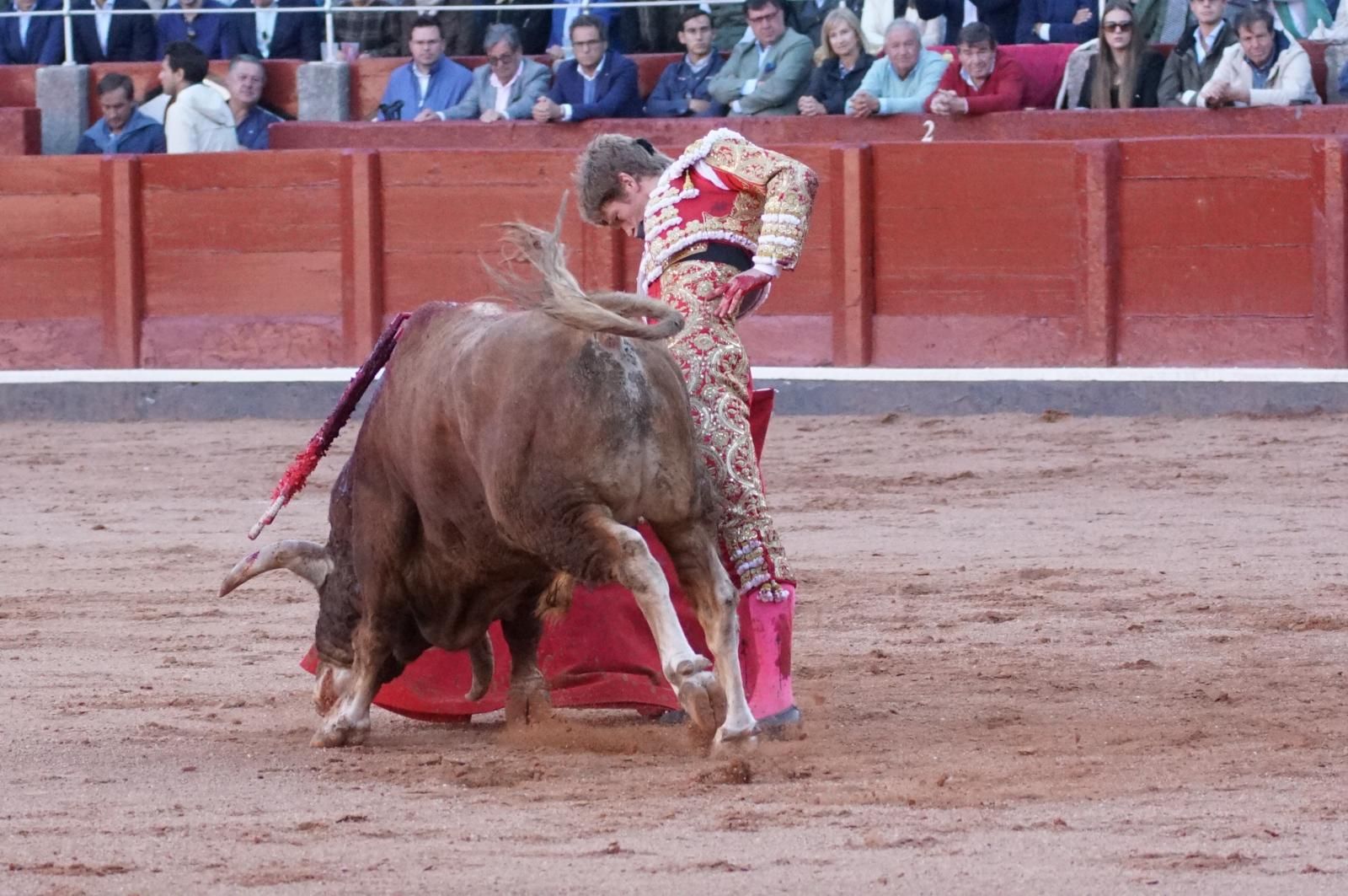 La corrida concurso para despedir la feria con Morante, Talavante y Borja Jiménez: imágenes de los mejores momentos en La Glorieta