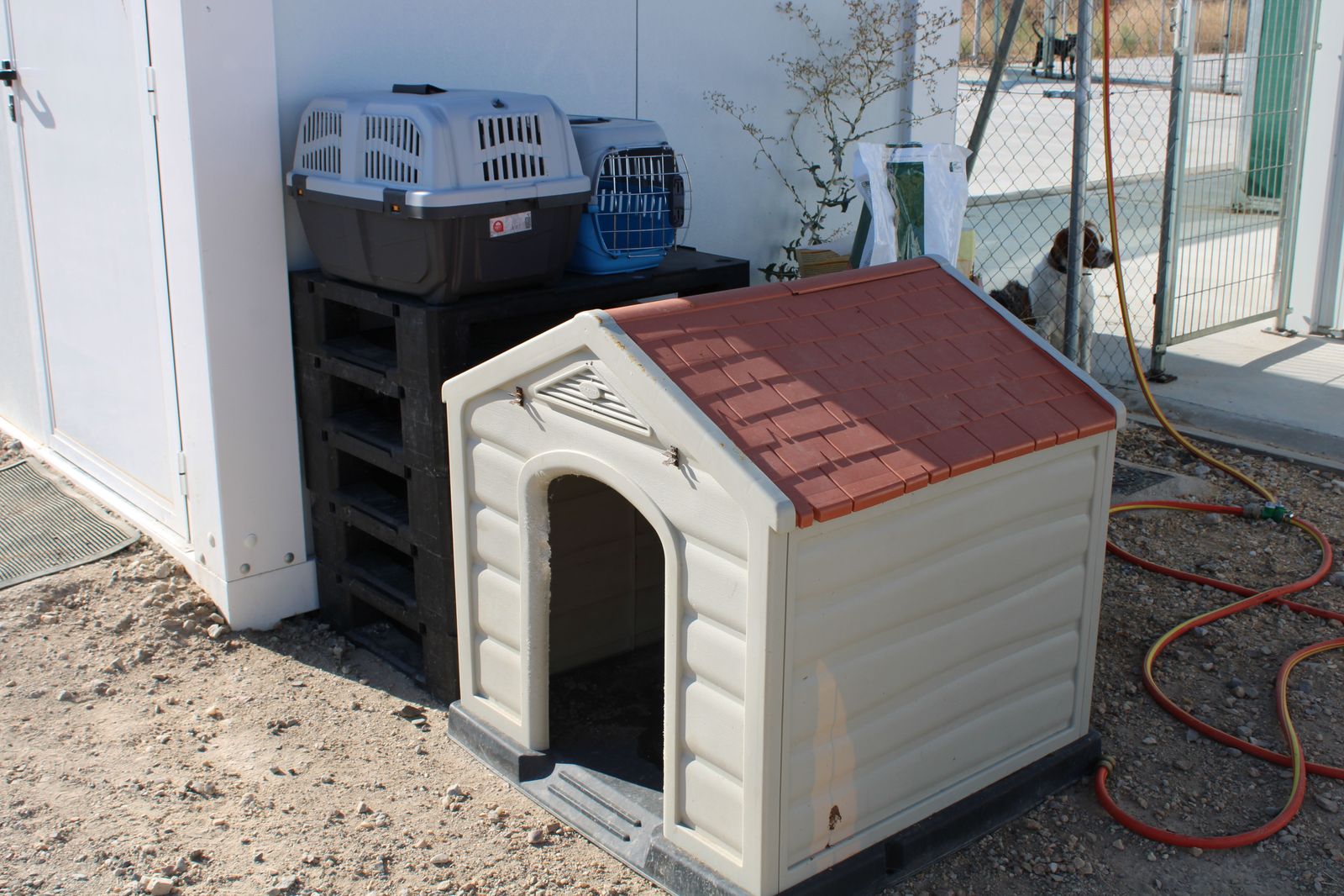 refugio-de-animales-del-ayuntamiento-de-salamanca-6