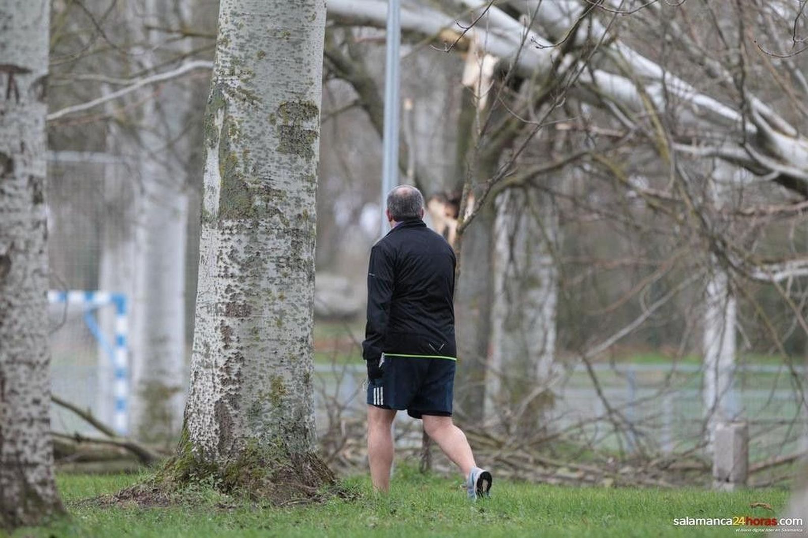 Consecuencias del fuerte viento