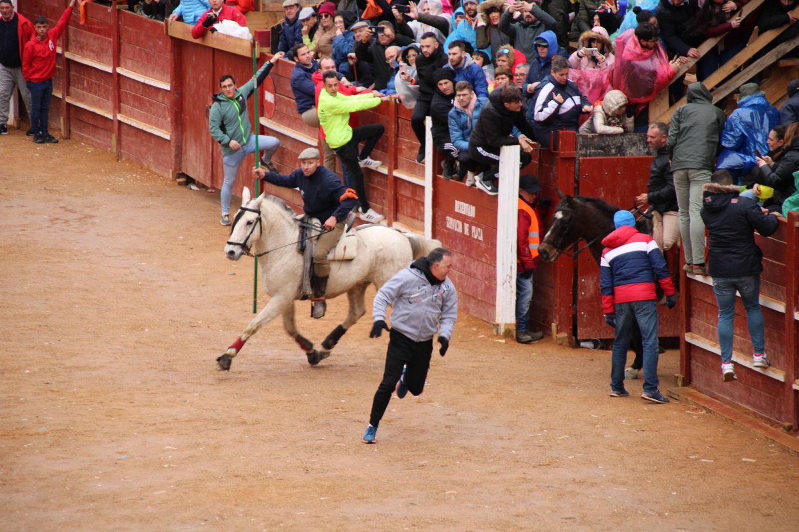 whatsapp-image-2024-02-11-at-11-41-49-16