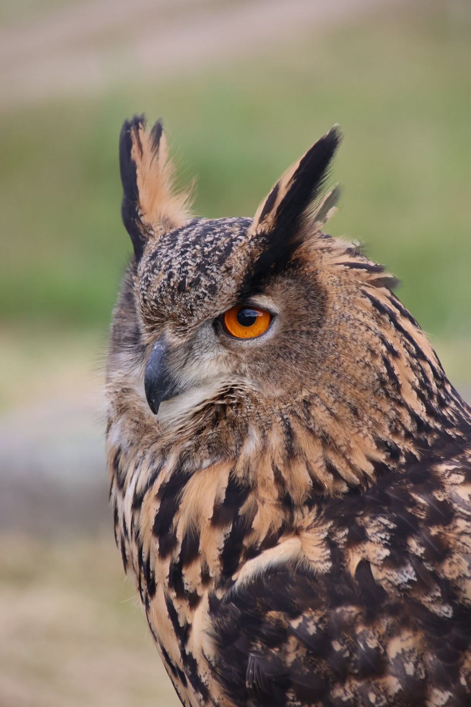 20240501102128-img-2869