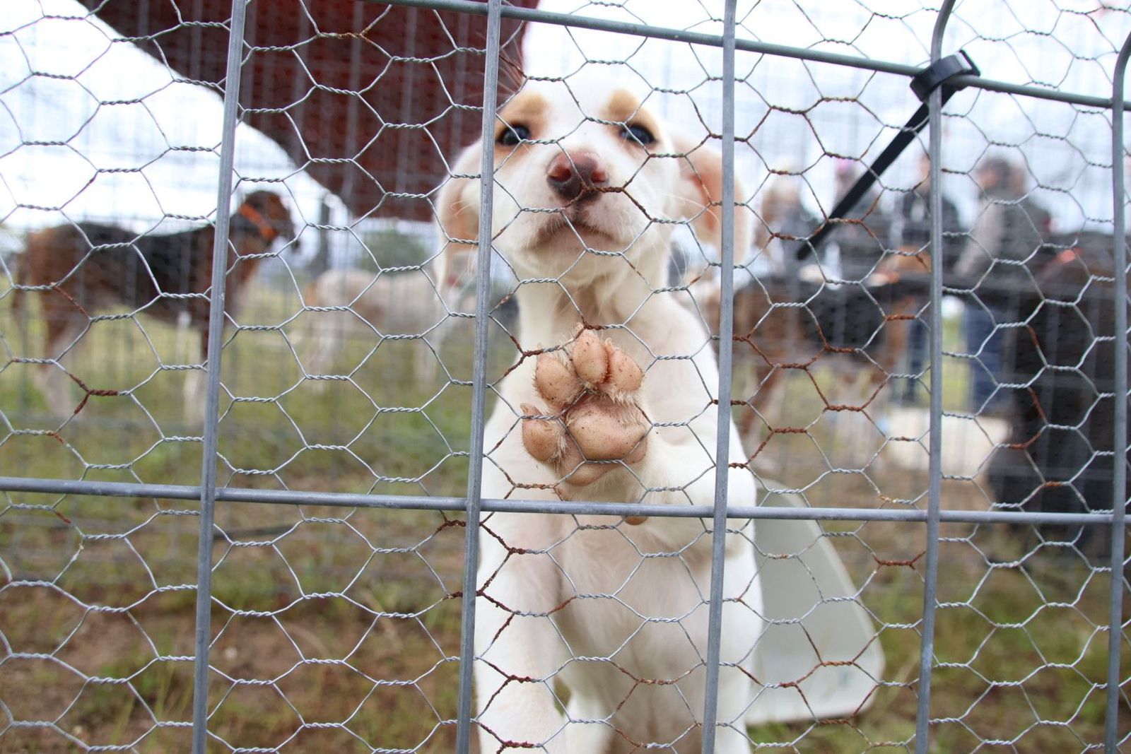 20240501104403-img-2969