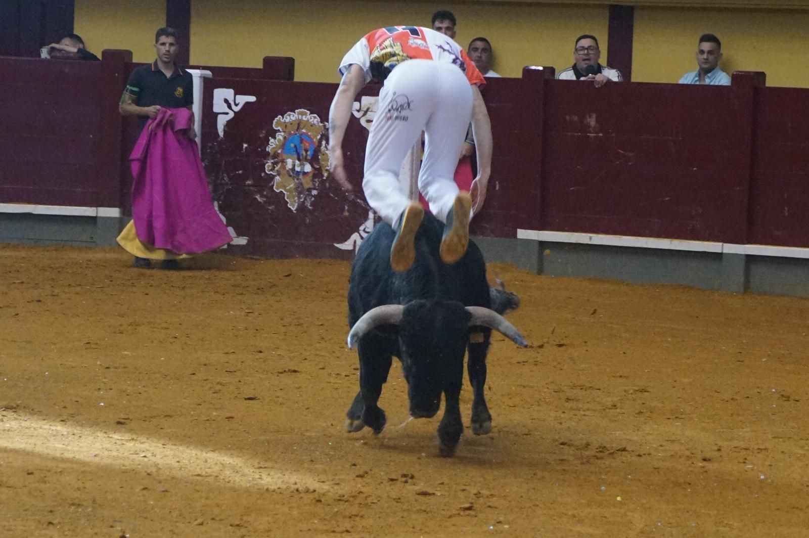Alba de Tormes celebra un nuevo concurso de cortes