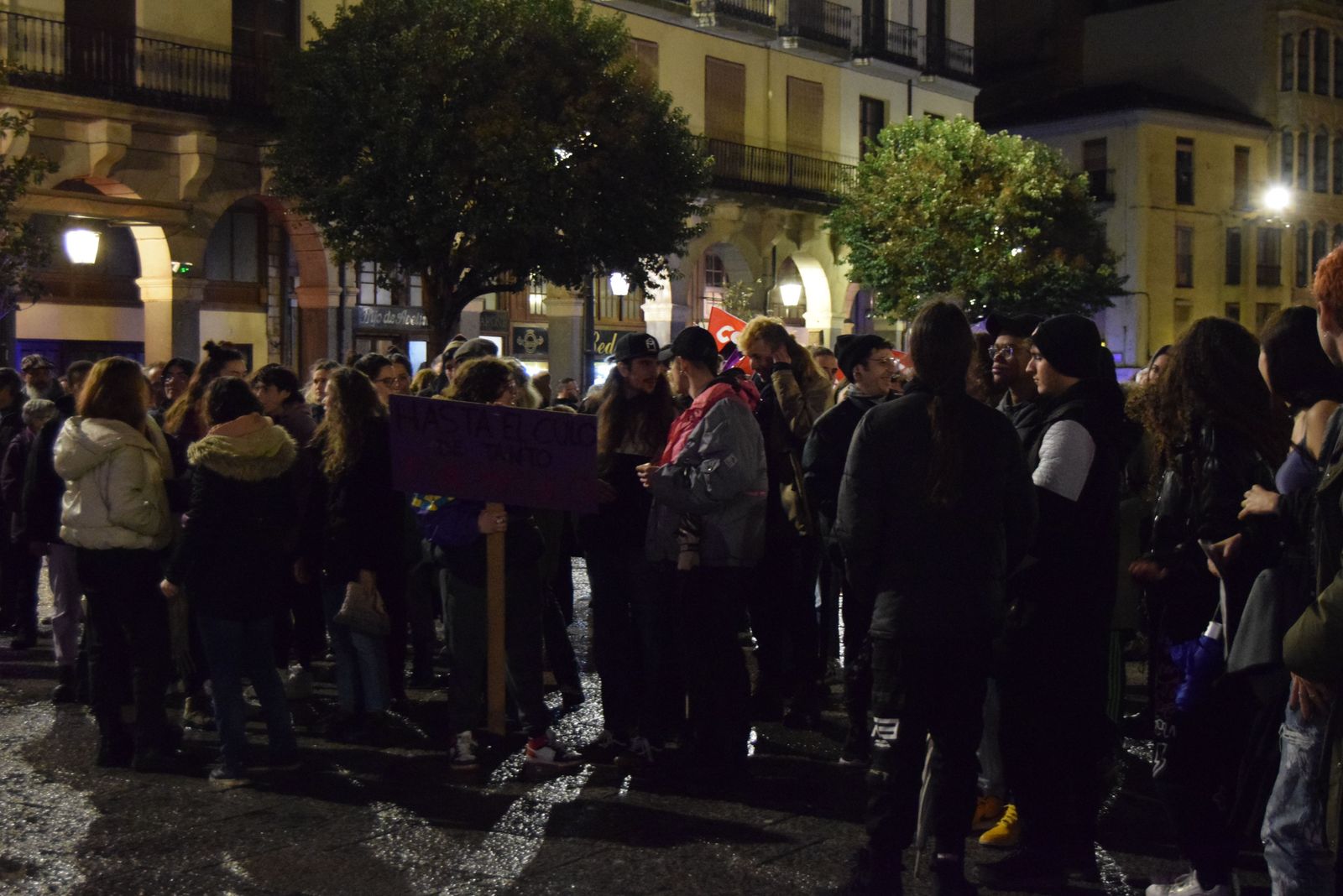 manifestacion-por-el-8m-en-zamora-36