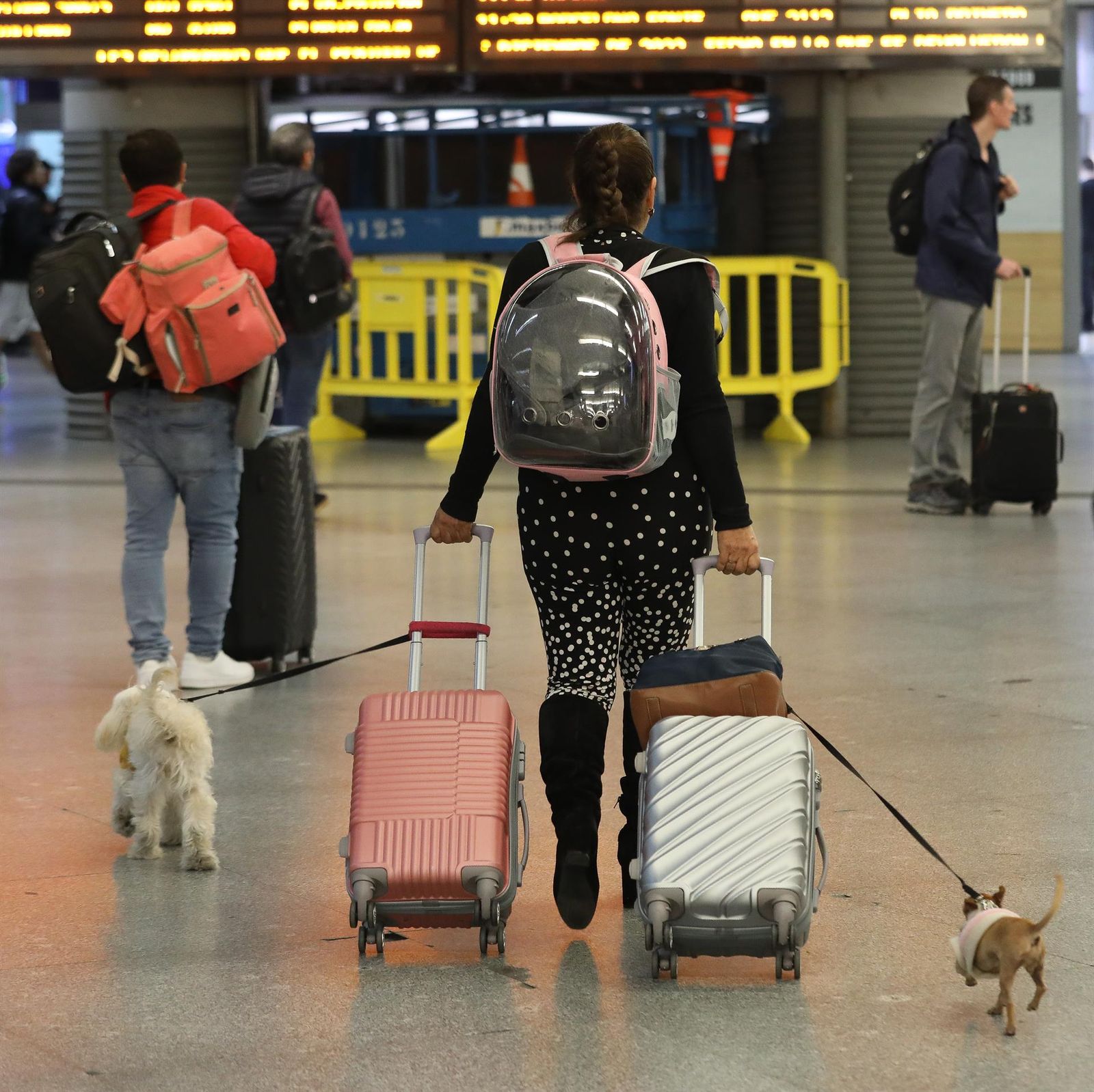 Una mujer con dos maletas y sus dos perros en la estación de Puerta de Atocha, en Madrid (España).   Marta Fernández Jara   Europa Press   Archivo