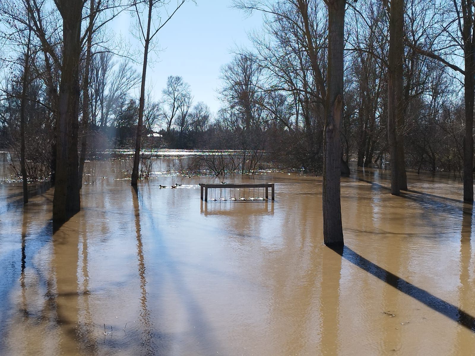 whatsapp-image-2024-01-20-at-13-23-12