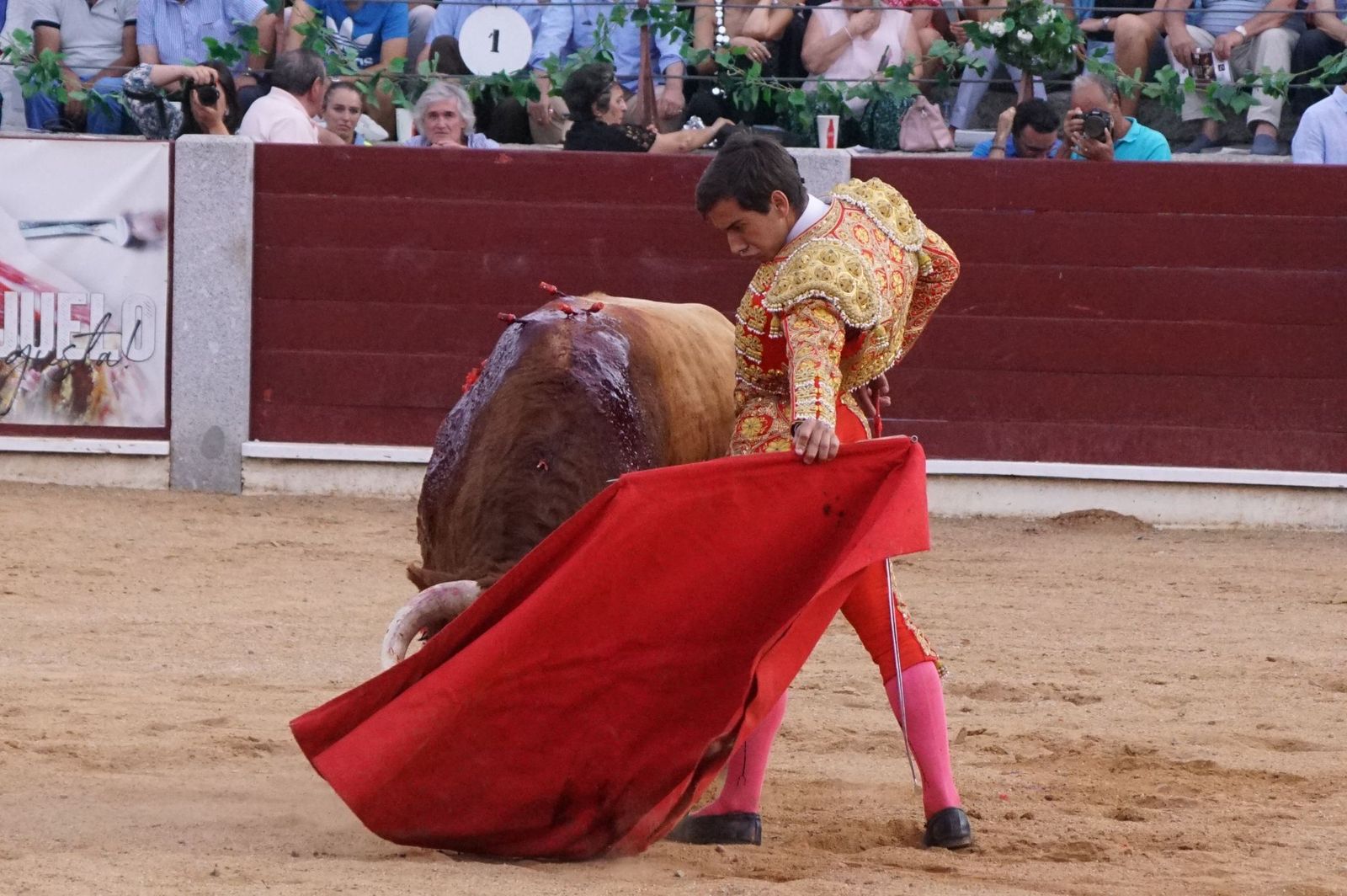 corrida-rejones-guijuelo-11