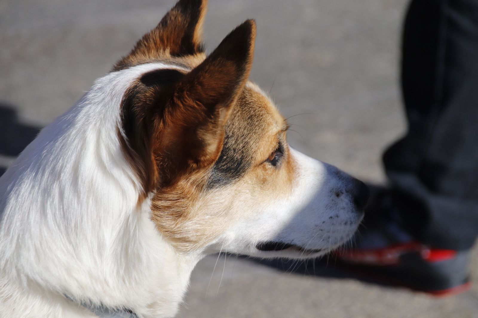 20230205121105-mg-5684